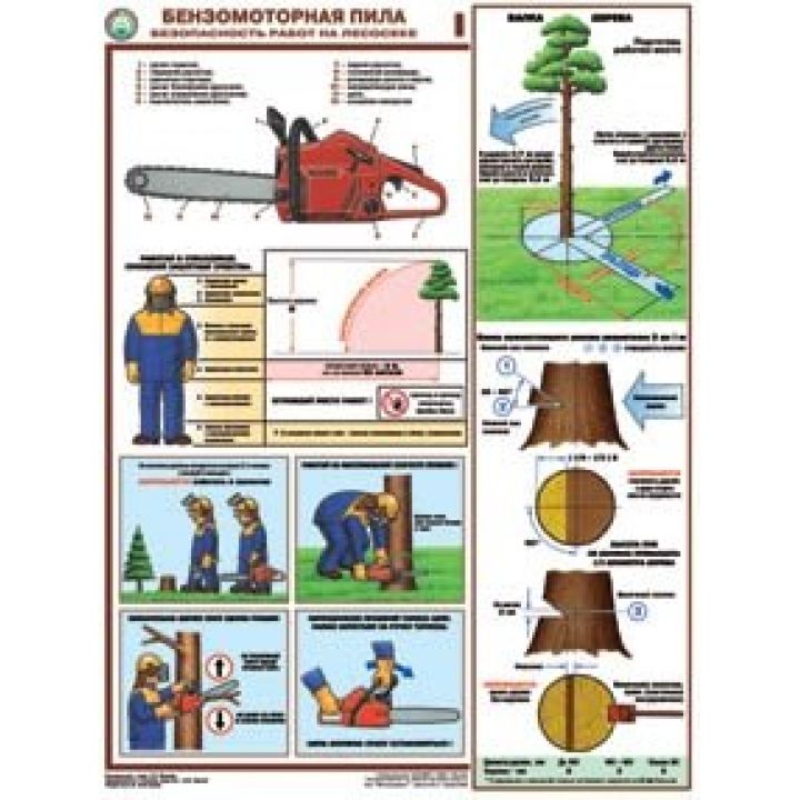 Плакат- Бензомоторная пила. Безопасность работ на лесосеке (на бумаге)